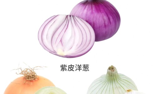 药米的功效和作用网- 药米是什么意思啊知识,分享药米是什么意思啊