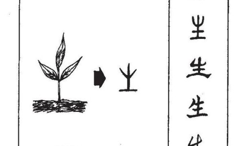 药米的功效和作用禁忌-药米的功效和作用网- 药米是什么意思啊知识,分享药米是什么意思啊